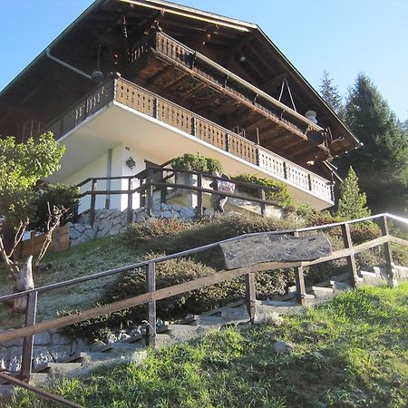 Апартаменти Chalet Erica Jaun Екстер'єр фото