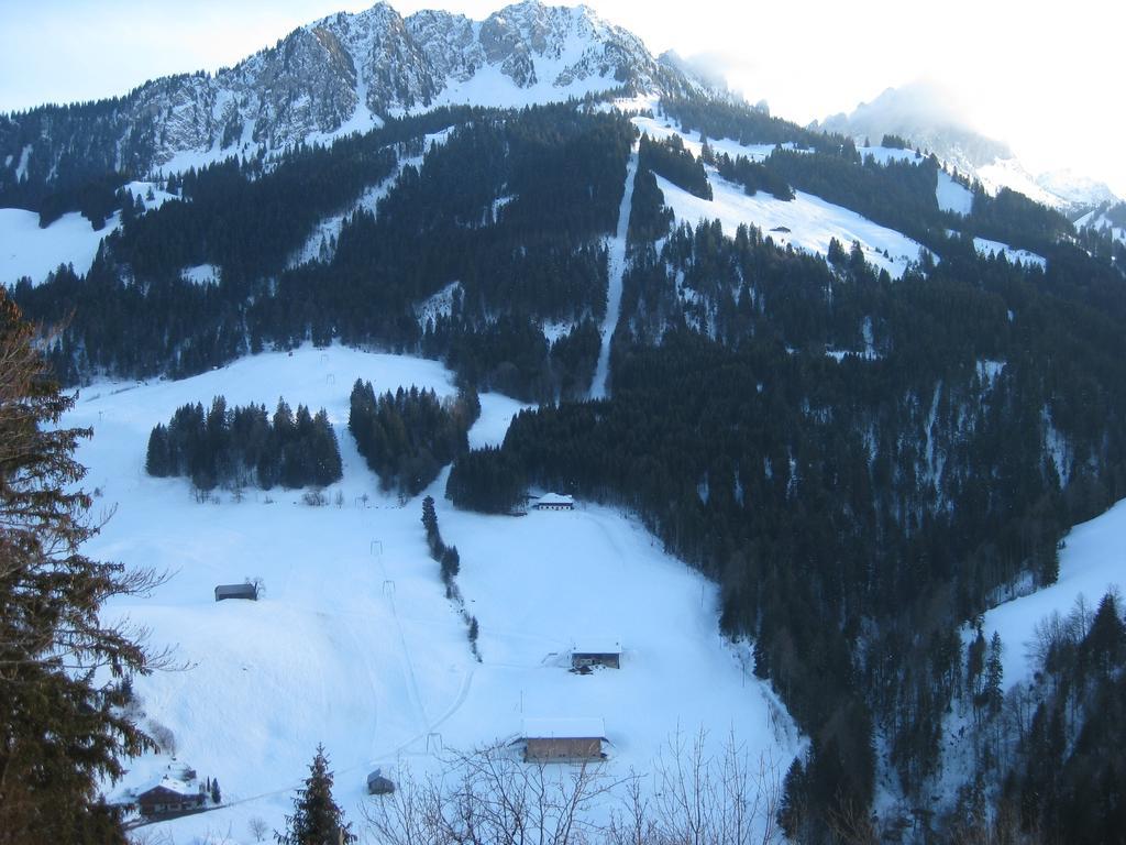 Апартаменти Chalet Erica Jaun Номер фото