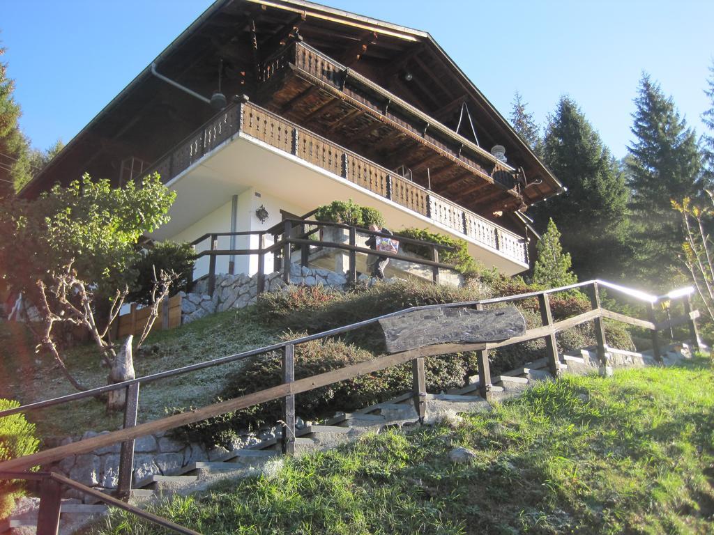 Апартаменти Chalet Erica Jaun Екстер'єр фото