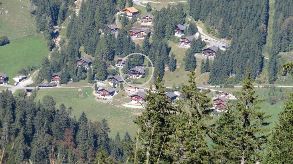 Апартаменти Chalet Erica Jaun Екстер'єр фото
