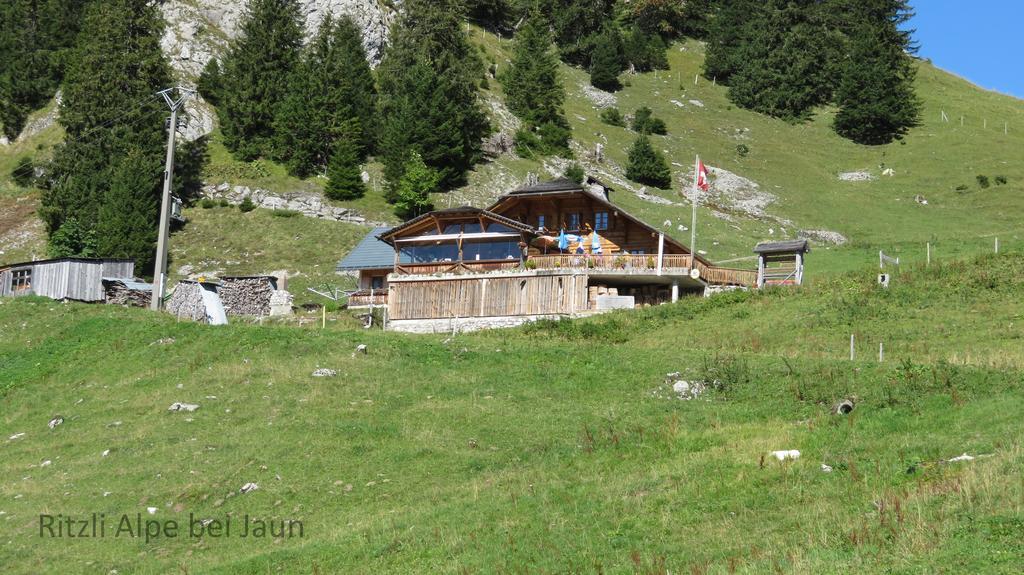 Апартаменти Chalet Erica Jaun Екстер'єр фото